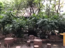 寸滩 巨宇融鑫花园三房65万