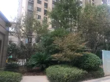 世茂大观橡树湾君悦华庭旁联排别墅近地铁