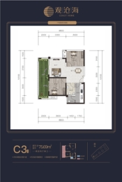 观沧海2室2厅1厨2卫建面75.69㎡