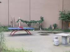 水语华庭二期 3室1厅 北 南