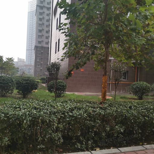 西部峰景2室1厅1卫东朝向1300.00元/月出租