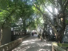古楼一村 3室1厅 南