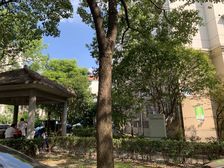 江桥二村六街坊5室2厅2卫南