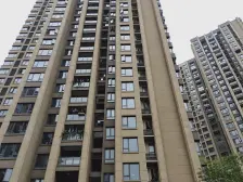 龙湖两江新辰云澜,大三房清水洋房