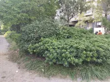 二环内,配套成熟,交通便利,地铁口,电梯小高层