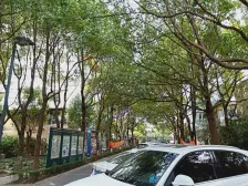 产权车位 空中别墅 顶楼复式 大露台
