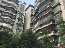 农业园区 宝圣大道571号家合苑二房45万