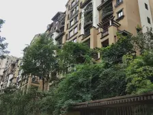 业主出国 两江新宸精装花园洋房端户