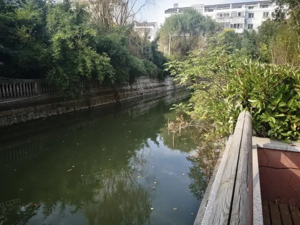 四季春城