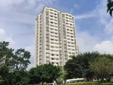 离轻轨近,精装房 配套成熟,拎包入住 环境好适宜居