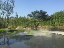 璧山街道 龙湖千山新屿澜邸五房289万