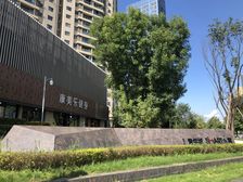 嘉年华青年城1室1厅东南