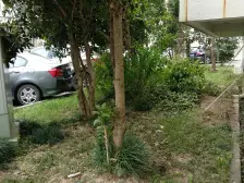 侨港路2居室 观澜学Q 完善生活配套设施可满足生活任何所需