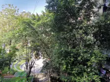 土湾 民主二村(沙坪坝)一房15.4万