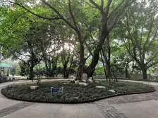 海棠晓月怡景天域,一线全江景,正看渝中,无遮挡