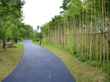 虞澜别院 4室2厅 南