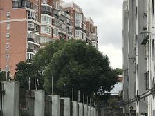 妙境路395弄2室1厅南