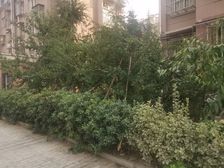 华美风景园 精装 随时看房 全天采光 无遮挡