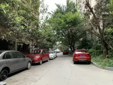 轻轨旁小洋房 带80平屋顶花园 诚心出售 价格可谈