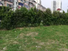 中环内,0梯两户,13|18双轨交通,第I妇婴保健院