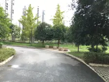 麒雅中央花园C区 3室1厅 西南