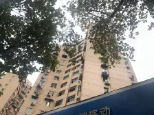 淞滨路地铁口电梯三房 看房方便诚心卖