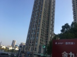 交付楼栋