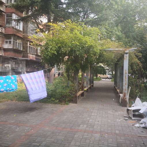 金顶街教工楼2室1厅1卫南北朝向3800.00元/月出租