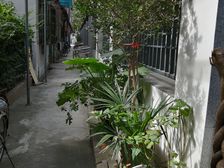 临街窗景洛川路·低楼层采光好南北通透装修中