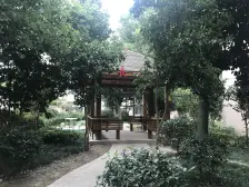 近地铁 满五,V一视野宽阔 采光好 交通便利