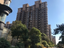 洪城东方国际(恒茂国际新城) 南北通透,采光好 周边匹套完善,,出行方便