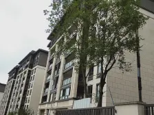 大平层看公园采光充足,住家安静,诚心出售