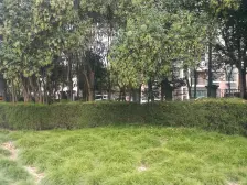 适合置换客,小区环境好环境优美,一梯两户南北双阳台