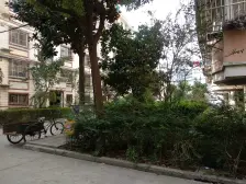 配套齐全,环境好,购物方便,生活起居方便