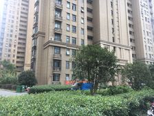 丰大国际大三房 精装修 采光好