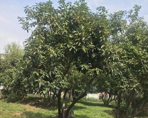 两房朝南户型好,次顶楼,采光无遮挡,拎包入住。
