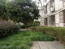 2000年后现浇房 中间楼层 低总价 好入手 业主诚心