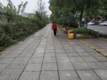 周边道路