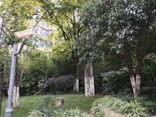 盛高大城一期1室1厅东北