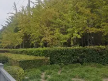 适合置换客,小区环境好环境优美,一梯两户南北双阳台