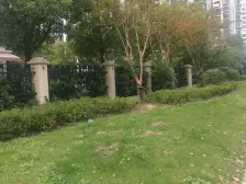 产权清晰 精装,电梯房,新上房源
