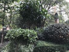 房屋户型没做改动,很合理,毛坯可根据自己爱好装修