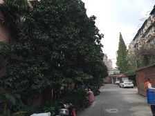 池沟路200弄2室2厅南北