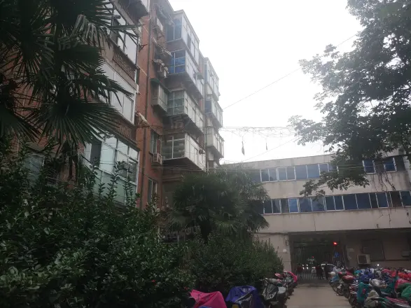 文化宫路65号院