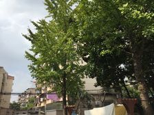 江湾 · 文新小区 · 2室 · 1厅