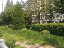 适合置换客,小区环境好环境优美,一梯两户南北双阳台