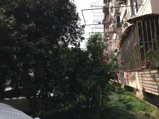 广粤路万安路+95年+一梯四户+美丽家园+停车方便