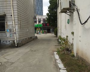 广衍路51弄5室2厅南