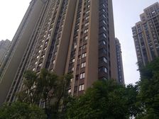 小区环境好,绿化好,楼层好,户型好,采光好
