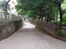 长盛花园 2室2厅 东 东南